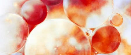 Oil bubbles close up. a circles of water macro. abstract orange and fiery red background. bannerの写真素材