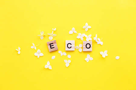 Eco word written from a wooden cubes with letters on a yellow background with a petals of a hydrangea flowersの写真素材