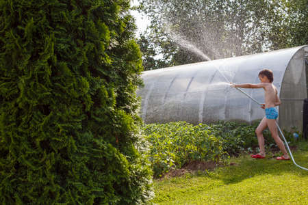 a boy watering the garden with a hoseの写真素材