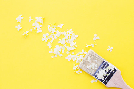 white hydrangea flowers and paint brush on a yellow background with copy space. Flat lay.の写真素材