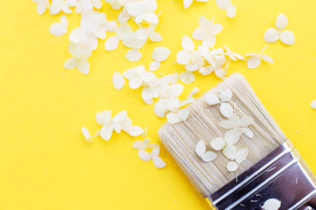 white hydrangea flowers and paint brush on a yellow background with copy space. Flat lay.の写真素材