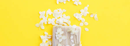 white hydrangea flowers and paint brush on a yellow background with copy space. Flat lay. bannerの写真素材