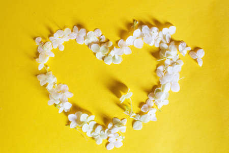 Heart symbol made of white hydrangea flower petals on a yellow background.の写真素材