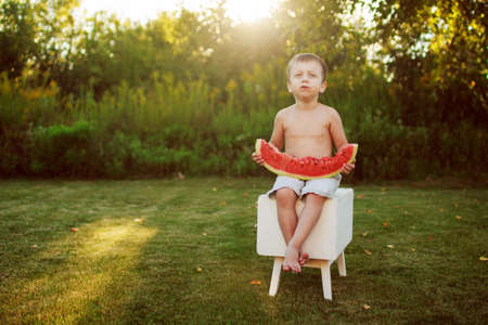 happy smiling child boy eating watermelon outdoor in the backyardの写真素材