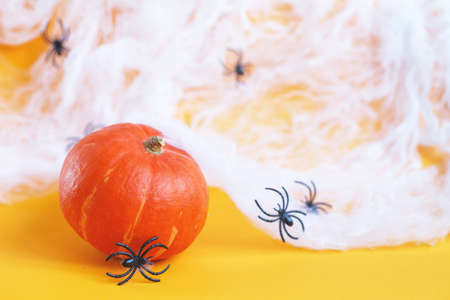 Halloween pumpkin with spider web and black spiders on an orange background.の写真素材