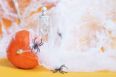Halloween pumpkin with spider web, skeleton and black spiders on an orange background.の写真素材