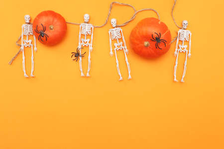 Halloween pumpkin with skeletons and black spiders on an orange background.の写真素材