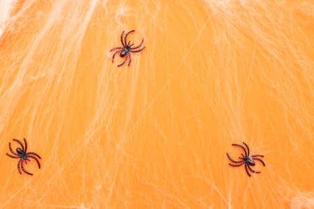 Halloween spider web and black spiders on an orange background.の写真素材