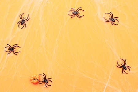 Halloween pumpkin with spider web and black spiders on an orange background.の写真素材