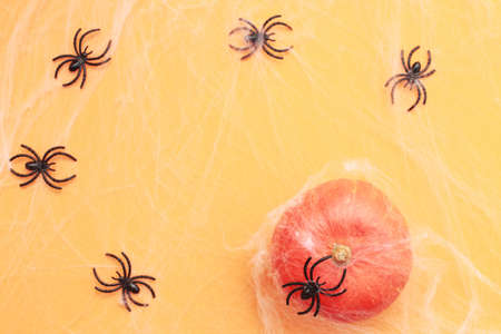 Halloween pumpkin with spider web and black spiders on an orange background.の写真素材