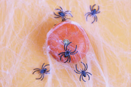 Halloween pumpkin with spider web and black spiders on an orange background.の写真素材