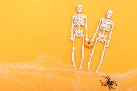 skeletons with pumpkin, spider web and black spiders on orange background. halloween concept.の写真素材