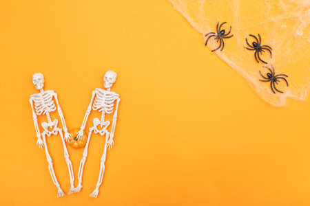 skeletons with pumpkin, spider web and black spiders on orange background. halloween concept.の写真素材