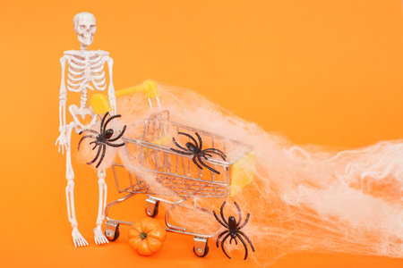 skeleton with a pumpkin near the trolley, spider webs and spiders on an orange background. Halloween shopping concept.の写真素材