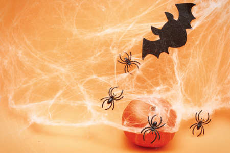 Halloween pumpkin with spider web, bat and black spiders on an orange background.の写真素材