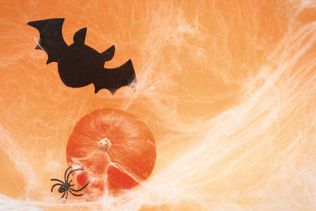 Halloween pumpkin with spider web, bat and black spiders on an orange background.の写真素材