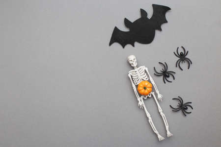 skeleton with pumpkin, bat and black spiders on gray background. halloween concept.の写真素材