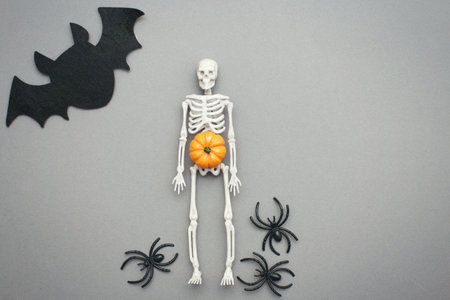 skeleton with pumpkin, bat and black spiders on gray background. halloween concept.の写真素材