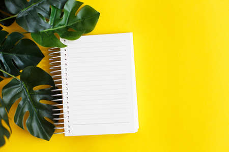Top view of blank note paper and monstera leaf on yellow background.の写真素材