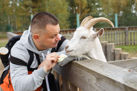 a man feeding an apple to a goat in the zoo.の写真素材