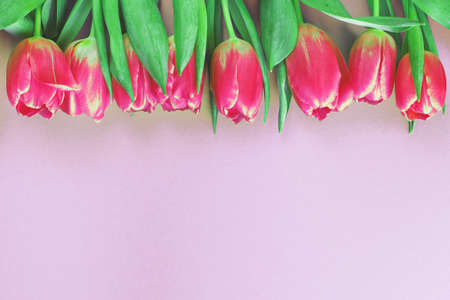 Pink fresh flowers tulips background with a copy space. romantic composition. Flat lay, top view.の写真素材