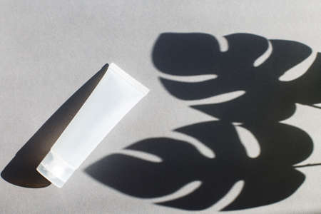 Plastic tube for cream or lotion on a gray background with shadow of montera leaves. Beauty concept