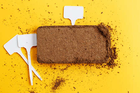 soil texture close up. mock up. coconut briquette with writing boards on a orange background.の写真素材