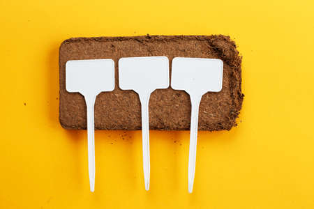 soil texture close up. mock up. coconut briquette with writing boards on a orange background.の写真素材