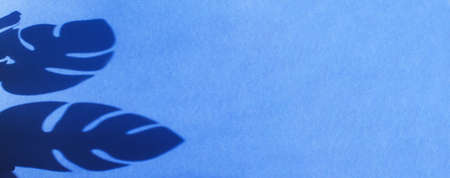 monstera leaf shadow on blue background with space for text. nature background