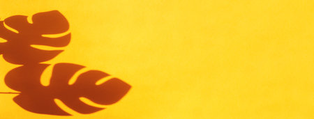 monstera leaf shadow on orange background with space for text. nature backgroundの写真素材