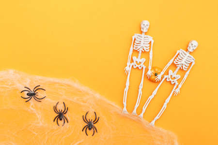 skeletons with pumpkin, spider web and black spiders on orange background. halloween concept.の写真素材