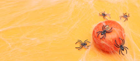 Halloween pumpkin with spider web and black spiders on an orange background. banner.