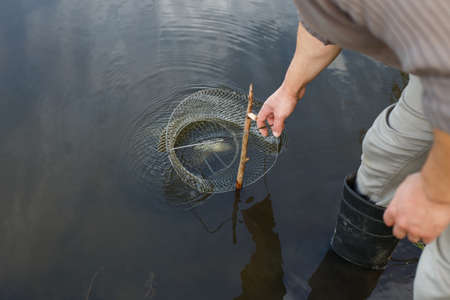fisherman lifts a fish net. Metal mesh cage is installed in the river water near the shoreの写真素材