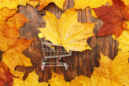 Autumn Leaves background with shopping cart. autumn sale concept.の写真素材