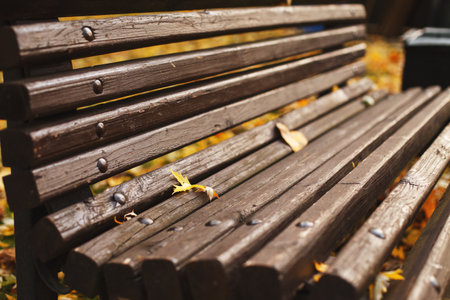 bench with fallen autumn leaves in the parkの写真素材