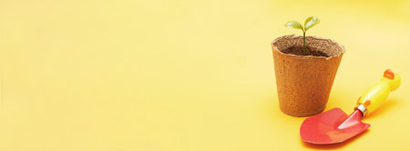 Shovel near a young sprout seedling of a green plant in the soil in a peat pot isolated on a yellow...
