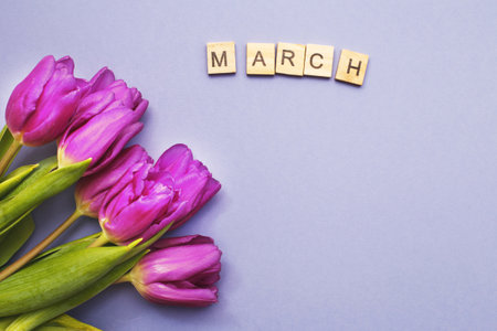 Purple bouquet of flowers tulips background with the word march on veri peri background. Flat lay, top view.の写真素材