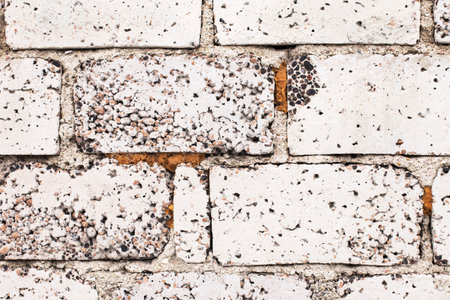 Old brick white color wall background. light stone texture.の写真素材