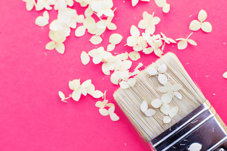 white hydrangea flowers and paint brush on a pink background with copy space. Flat lay. Summer conceptの写真素材