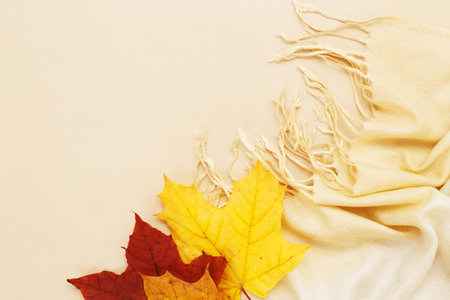 autumn leaves with a scarf on a beige background with copy space.の写真素材