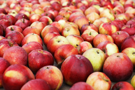 Many Fresh red apples background. harvest conceptの写真素材