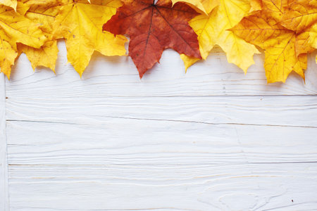 Autumn Leaves over wooden background. Autumn leaves frame.の写真素材