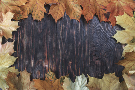 Autumn Leaves over wooden background. Autumn leaves frame.の写真素材