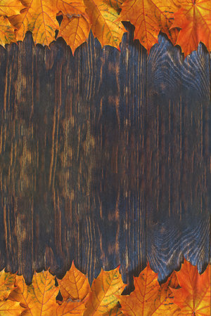 Autumn Leaves over wooden background. Autumn leaves frame.の写真素材