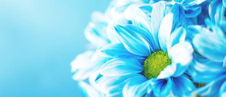 Blue flower painted daisy chamomile in macro close-up. Abstract macro floral summer background with...