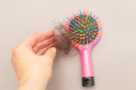 Close up photo of female hand holding lost hair in hand on a grey background with a pink comb. Woman holding her bundle of hair fall with copy space. Healthy nutrition and hair loss problem.の写真素材