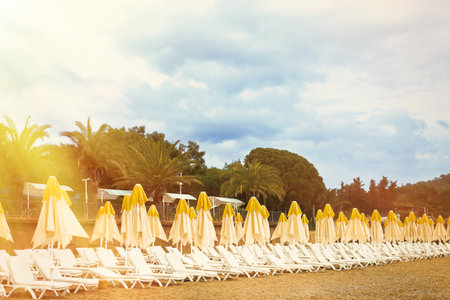 Beach scene with empty closed umbrellas and sun loungers on palm green trees in background. Deck chairs standing in a row on tropical sand beach. Vacation and summer holiday trip concept.の写真素材