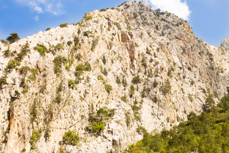 Scenic view of a steep, rocky mountain with trees and shrubs, set against a vibrant blue sky. Nature backgroundの写真素材