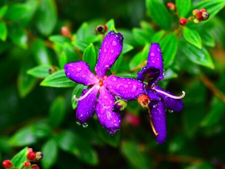 Very Nice Rich Color Feel Fresh