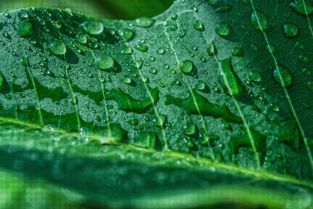 This picture I Attempt it to be the sign of lifesign of Integrity full of nature の写真素材